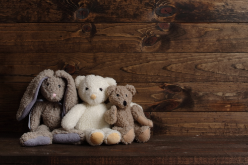 Giặt thú nhồi bông