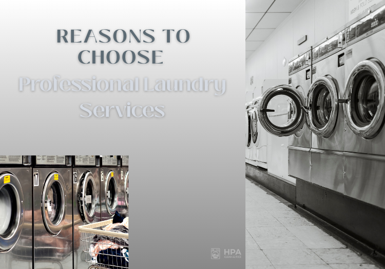 Reasons to Choose Professional Laundry Services