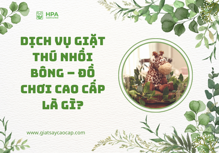 Dịch vụ giặt thú nhồi bông - đồ chơi cao cấp là gì?