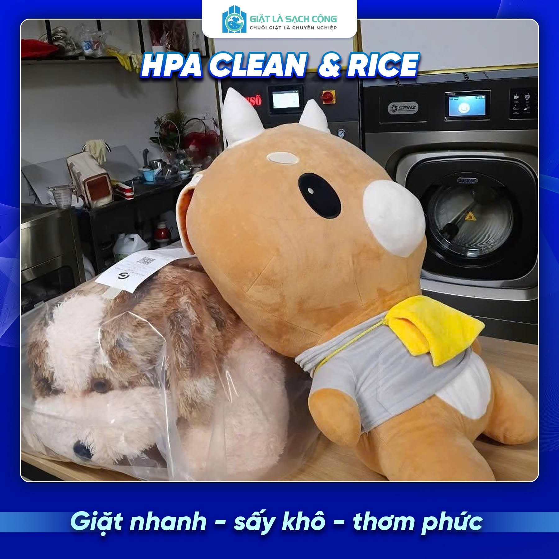 Kinh Nghiệm Chọn Dịch Vụ Giặt Sấy Nhanh Gấu Bông Uy Tín Tại TP.HCM