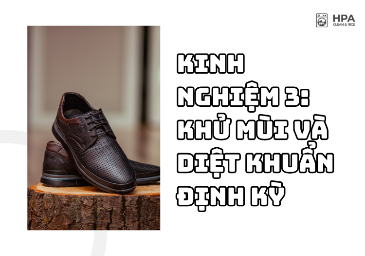 Kinh nghiệm 3: Khử mùi và diệt khuẩn định kỳ